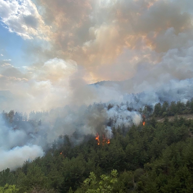 Karabük'te orman yangını (2)