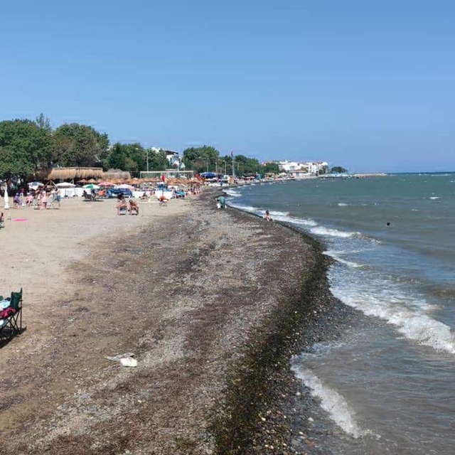 Tekirdağ'ın 4 ilçesinde denize girmek yasaklandı (2)