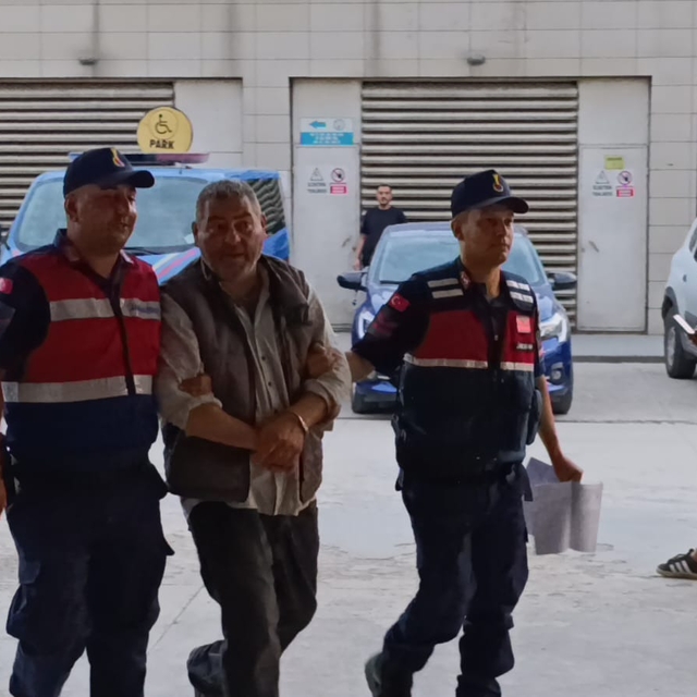 Evde kenevir yetiştiren 2 şüpheli tutuklandı