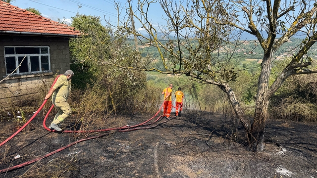 Bartın'da çıkan anız yangını söndürüldü