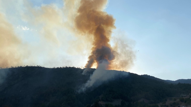 Karabük'te orman yangını (3)