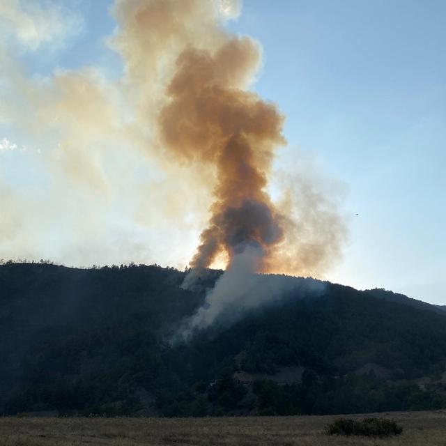 Karabük'te orman yangını (3)