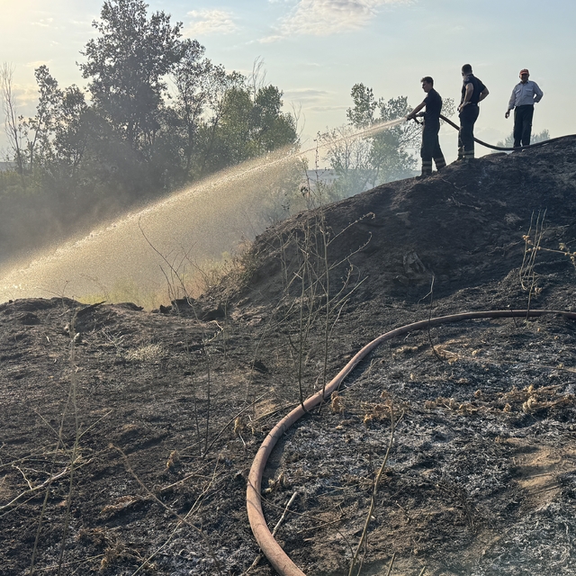 Edirne'de Tunca Nehri kenarında çıkan yangın söndürüldü