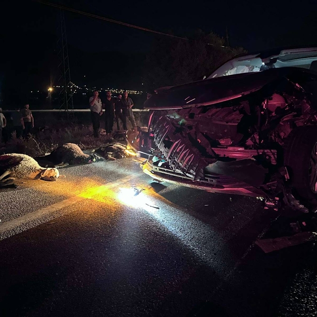 Erzincan'da SUV tipi aracın çarptığı 23 küçükbaş hayvan telef oldu