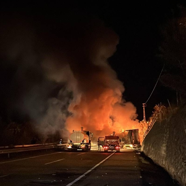 Giresun'da sebze yüklü tır yandı