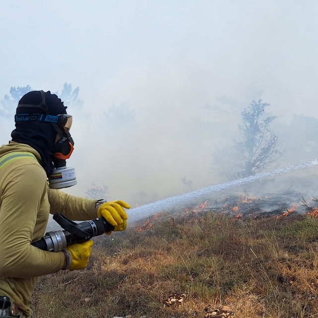 Bolu'da orman yangını