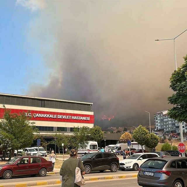 Çanakkale'de orman yangını (2)