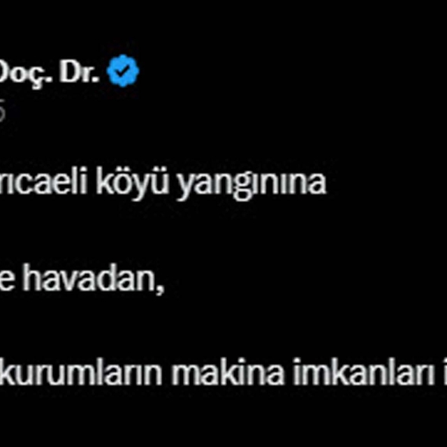 Çanakkale'de orman yangını (4)