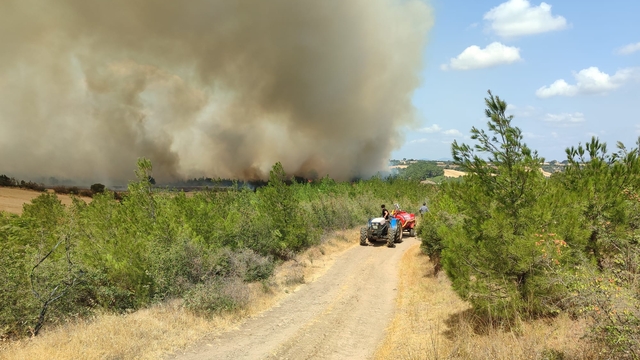 Çanakkale'nin Bayramiç ilçesinde çıkan orman yangını nedeniyle 3 köy boşaltıldı