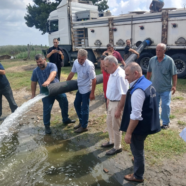 Samsun'da 2 milyon 341 bin yavru sazan su kaynaklarına bırakıldı