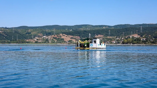 Galeri