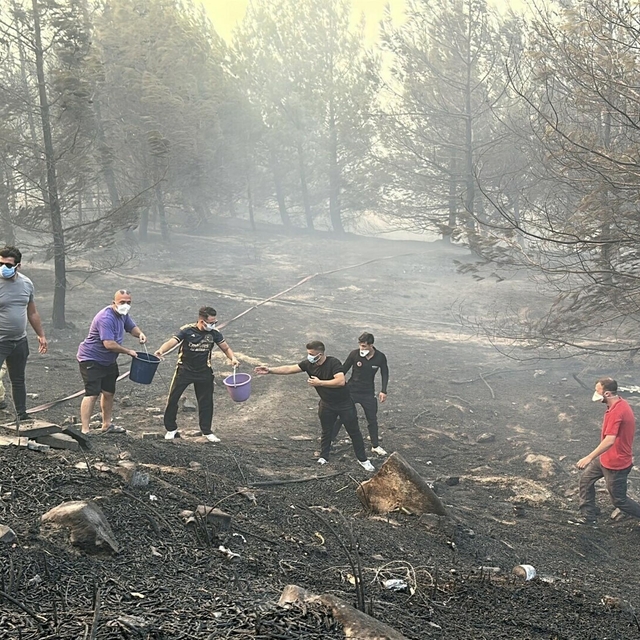 Çanakkale'de iki orman yangını (10)