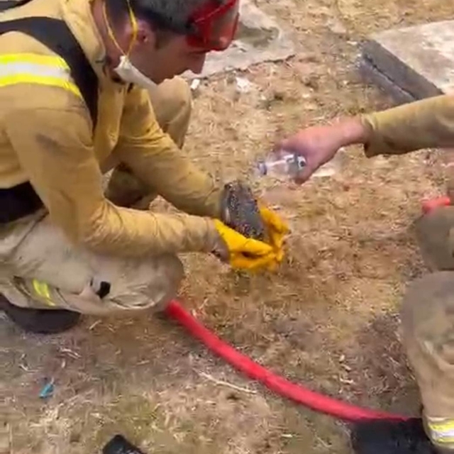 Çanakkale'de iki orman yangını (11)