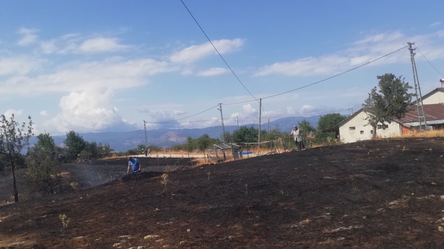 Kastamonu'da çıkan orman yangını kontrol altına alındı