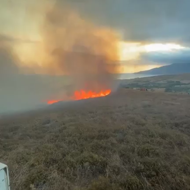 Balıkesir'deki Paşalimanı Adası'nda çıkan arazi yangınına müdahale ediliyor
