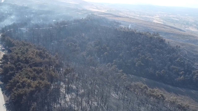 Çanakkale'deki orman yangını ikinci gününde; yanan alanlar ve evler havadan görüntülendi (4)