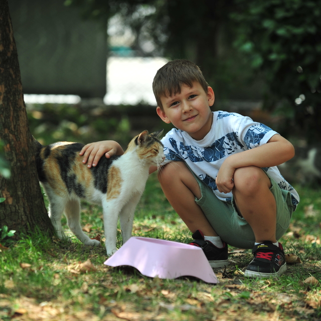 6 yaşındaki Dorukhan, her gün takipçisi kadar sokak hayvanı besliyor
