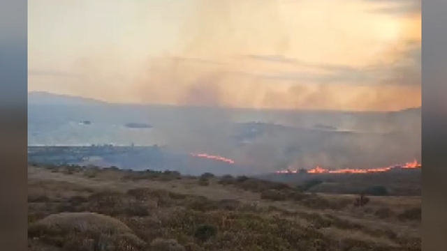 Paşalimanı Adası'nda makilik yangını; 20 dönümlük alan yandı