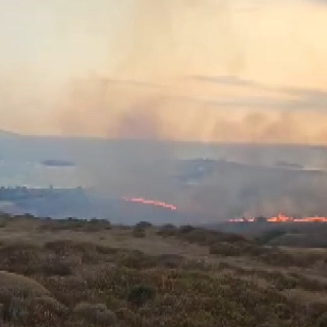 Paşalimanı Adası'nda makilik yangını; 20 dönümlük alan yandı