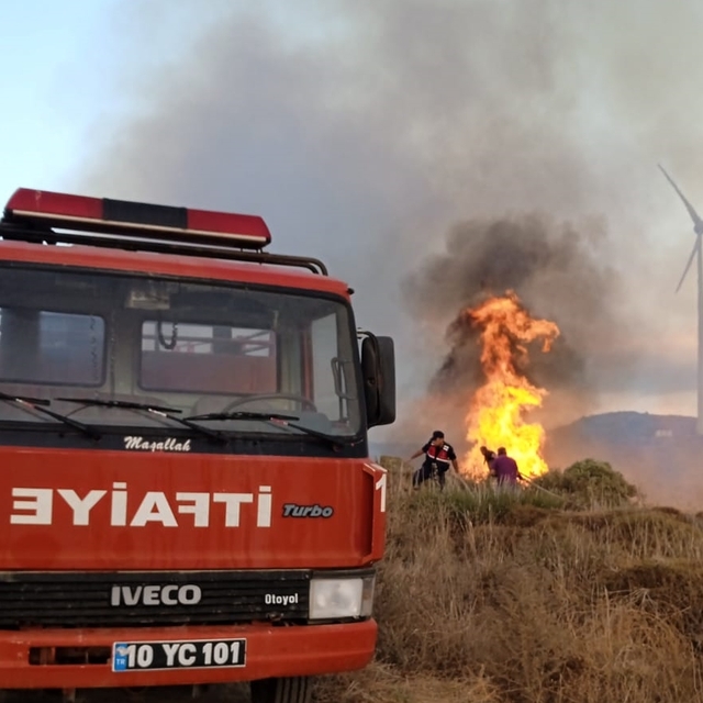 GÜNCELLEME - Balıkesir'deki Paşalimanı Adası'nda çıkan arazi yangını kontro...
