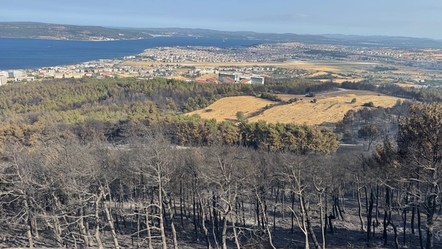 GÜNCELLEME - Çanakkale'de büyük oranda kontrol altına alınan yangına müdahale 2. gününde sürüyor