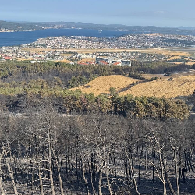 GÜNCELLEME - Çanakkale'de büyük oranda kontrol altına alınan yangına müdaha...