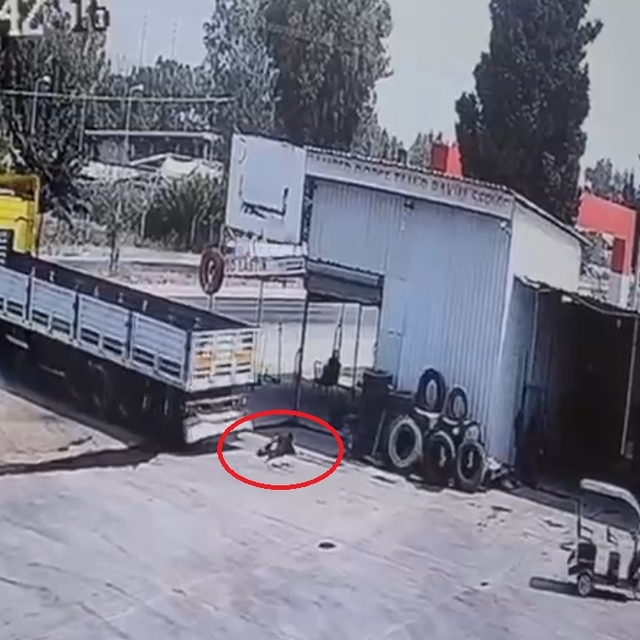 Tamir sırasında hareket eden TIR'ın altında kalan 16 yaşındaki işçi öldü