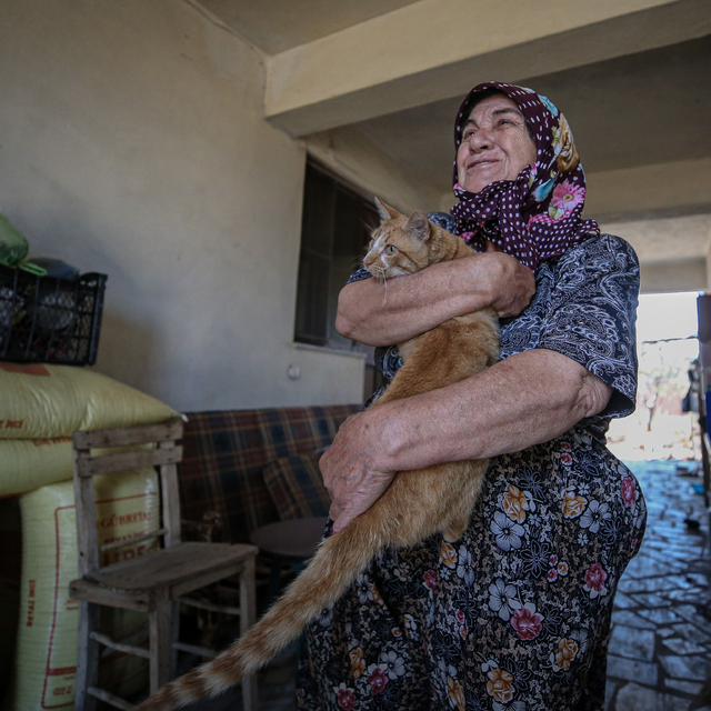 Çanakkale'de orman yangınında kaybettiği kedisi "Boncuk"a kavuşan Kevser te...