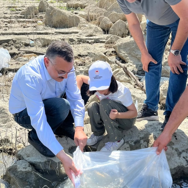 Boyabat'ta 158 bin yavru sazan baraj ve göletlere bırakıldı