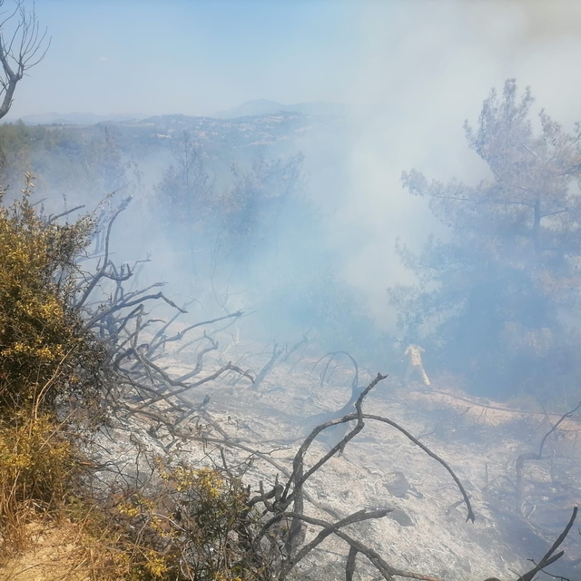 Osmaniye'de çıkan orman yangını kontrol altına alındı