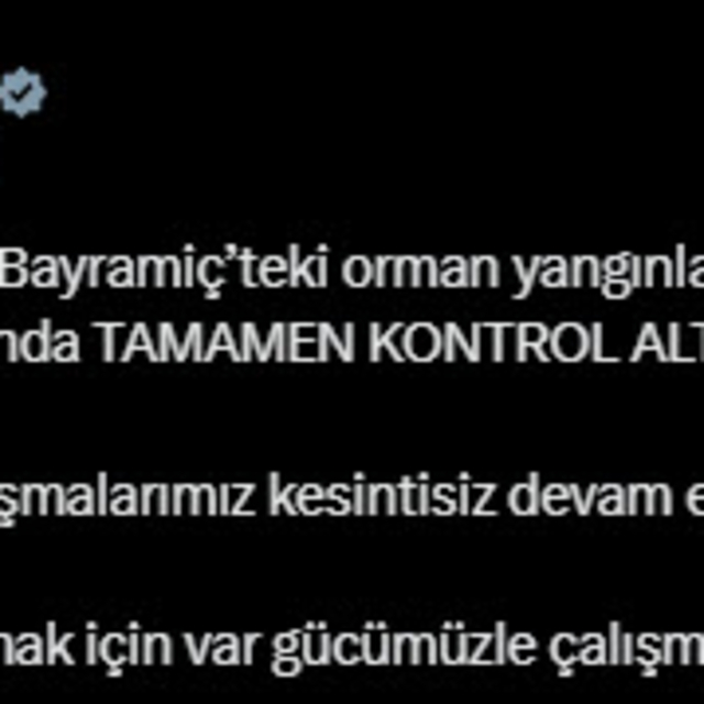 Çanakkale'deki orman yangını ikinci gününde kontrol altına alındı (7)