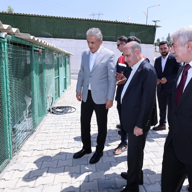 Bakan Yardımcısı Aktaş, sahipsiz hayvanlar için yapılan çalışmaları inceled...