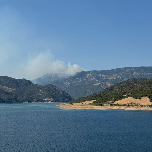 Sinop'ta çıkan orman yangınına müdahale ediliyor