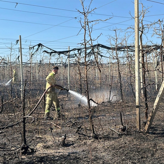 Çanakkale'de tarım arazisinde yangın; 1 sera yandı