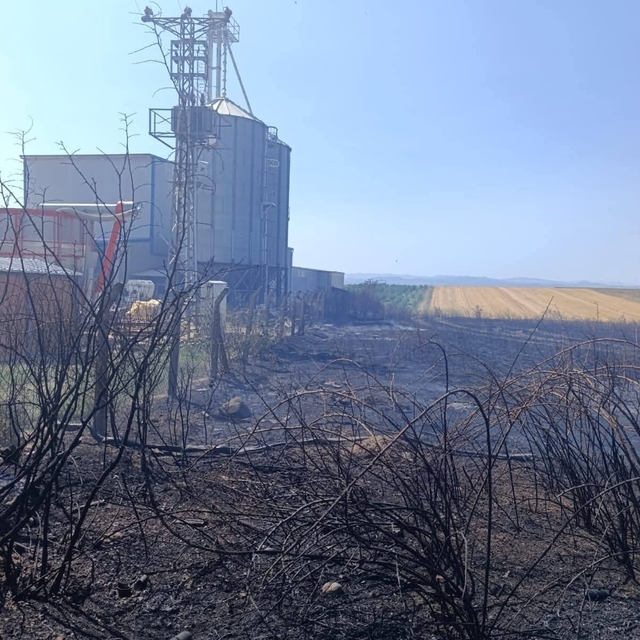 Edirne'de anız yangını; fabrikaya sıçramadan söndürüldü