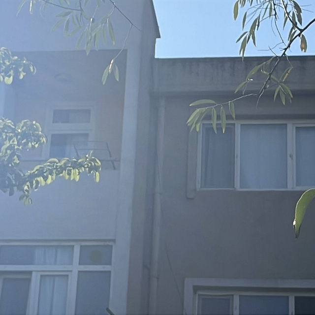 Anne, 4 yaşındaki oğlunu yastıkla boğdu