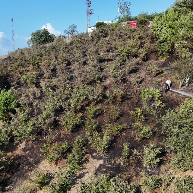 Giresun'da fındık bahçelerinde çıkan örtü yangını söndürüldü