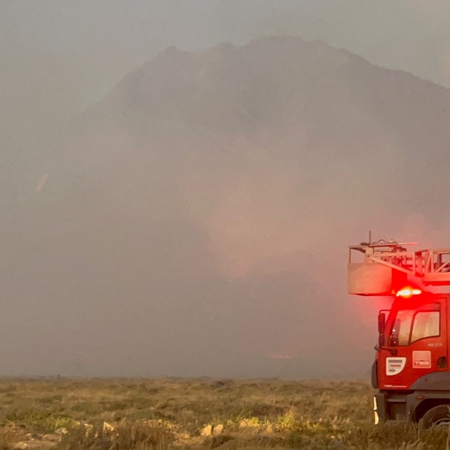 Aksaray'da anız yangını ormana sıçradı