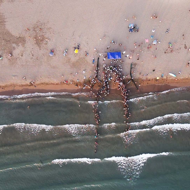 Uydu cihazıyla izlenen caretta caretta "Tuba" ikinci dünya turuna salındı
