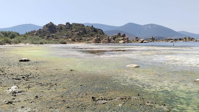 Galeri