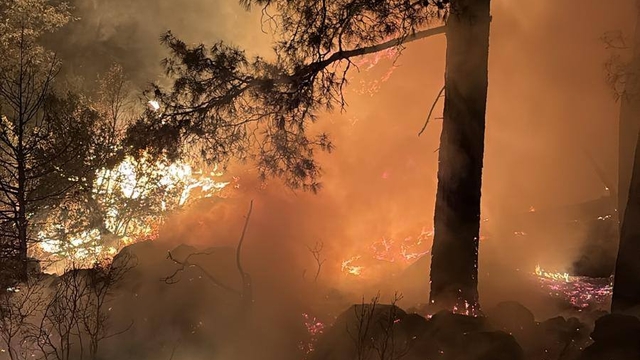 Isparta'da ormanlık alanda çıkan yangın kontrol altına alındı