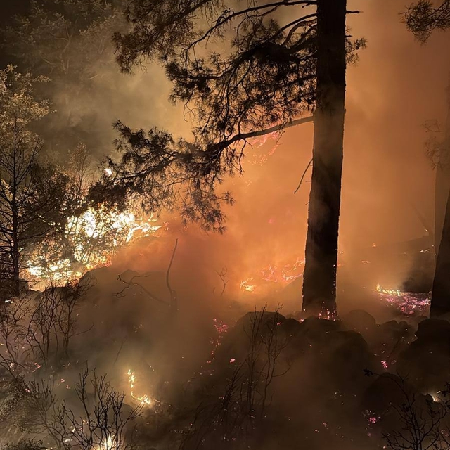 Isparta'da ormanlık alanda çıkan yangın kontrol altına alındı
