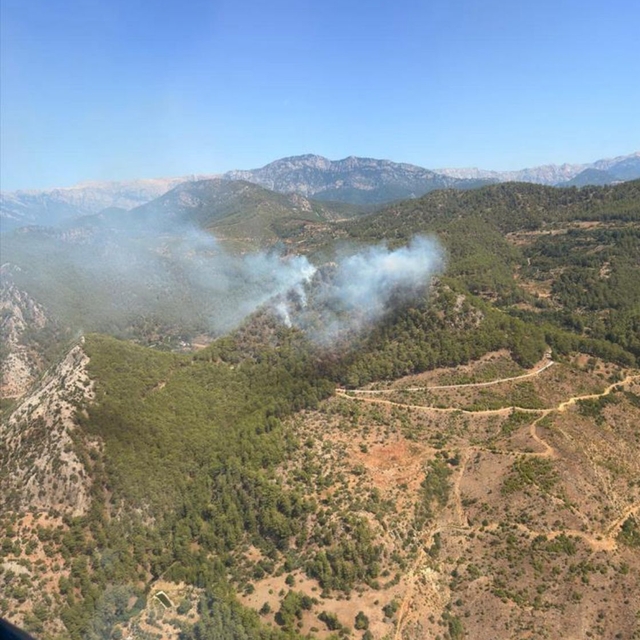 Mersin'de orman yangını