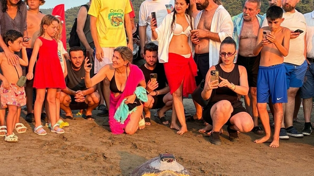 'Tuba'nın da aralarında bulunduğu 7 deniz kaplumbağası tekrar denizle buluştu