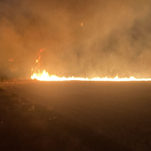 Edirne'de anız yangını ormana sıçramadan söndürüldü