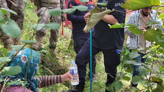 Giresun'da kaybolan yaşlı kadın sağ bulundu