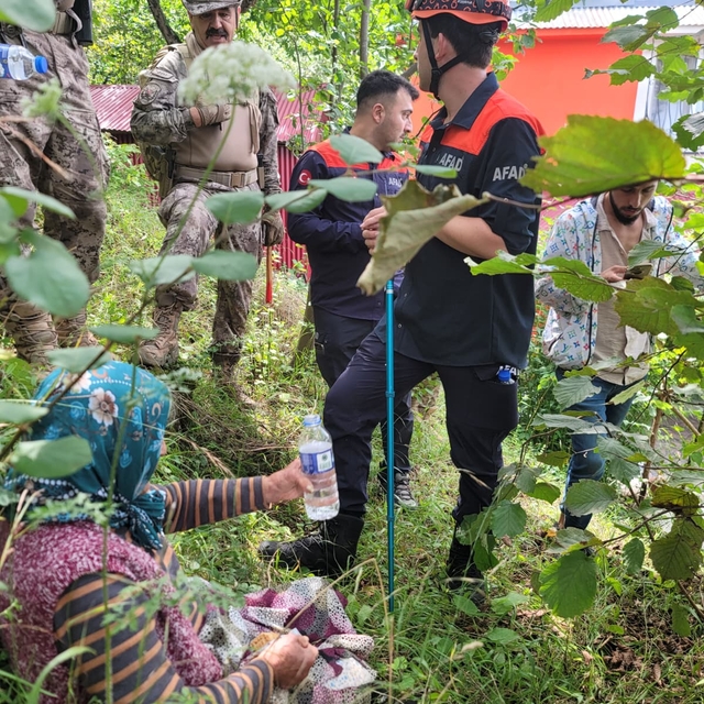 Giresun'da kaybolan yaşlı kadın sağ bulundu