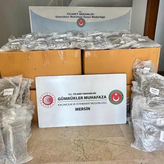 Mersin Limanı'ndaki konteynerde 587 kilogram esrar ele geçirildi