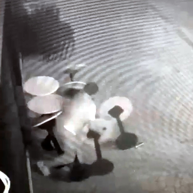 İşletmenin masalarını deviren alkollü kişi, güvenlik kameralarına dönüp özü...