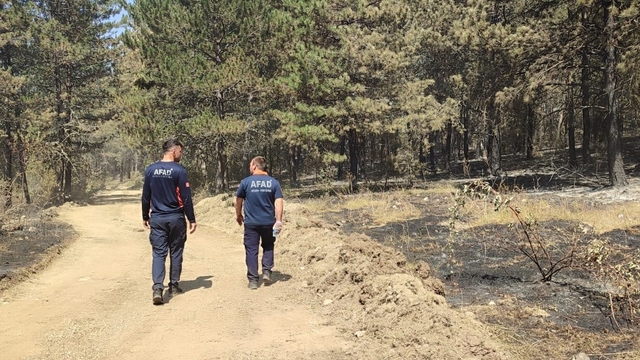 Sinop'taki orman yangını kontrol altına alındı (2)